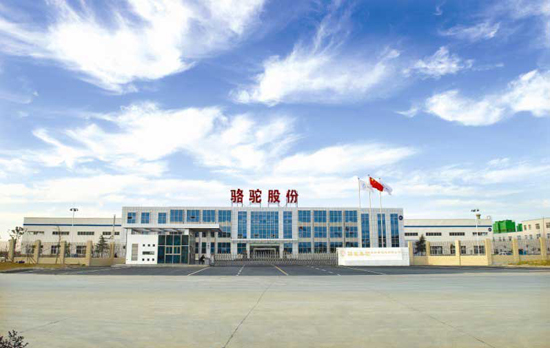 1470102485620077858.jpg 1.jpg