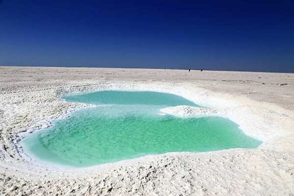 1472434474067029944.jpg 1.jpg