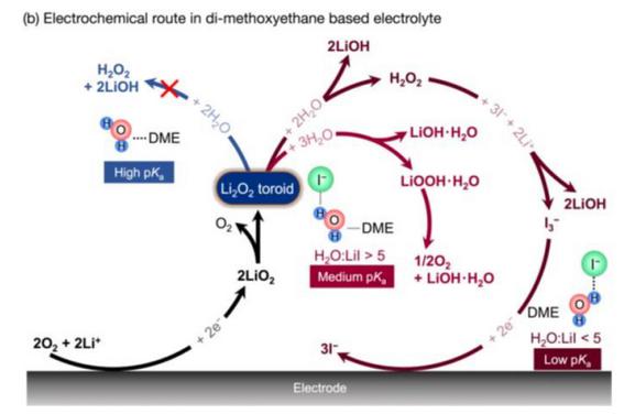1503019648034002120.jpg 2.jpg