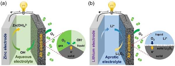 1505784388154058270.jpg 3.jpg