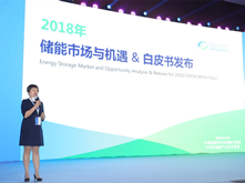 2017新增電化學(xué)儲(chǔ)能裝機(jī)量企業(yè)排名發(fā)布 南都電源榮登榜首