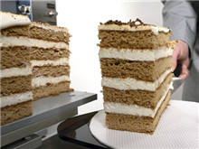 印度新能源汽車市場(chǎng)這塊“蛋糕”挑逗了誰(shuí)的“味蕾”？