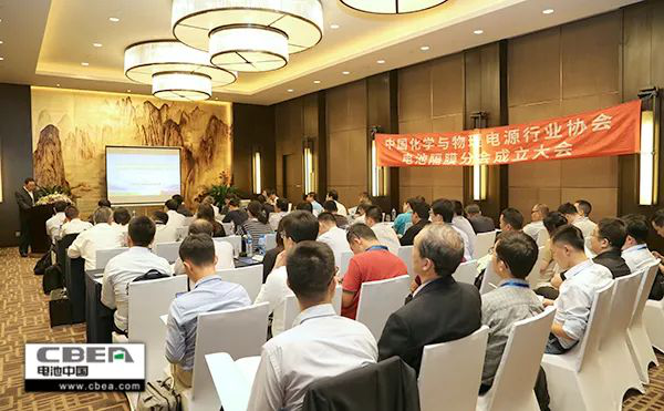 中國化學(xué)與物理電源行業(yè)協(xié)會電池隔膜分會成立大會會議紀(jì)要