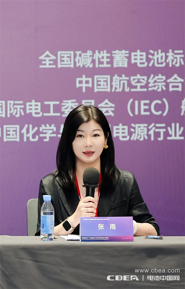 IEC飛行器電池國內技術對口工作組第一次全體大會在深圳召開 IEC飛行器電池國內技術對口工作組第一次全體大會在深圳召開